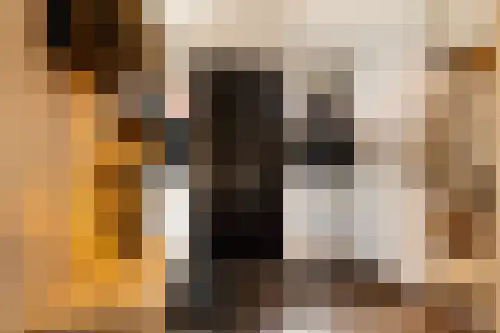 Bramengaarde 98 Hendrik-Ido-Ambacht thumbnail 9