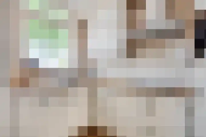 Bramenhof 16 Rockanje thumbnail 10