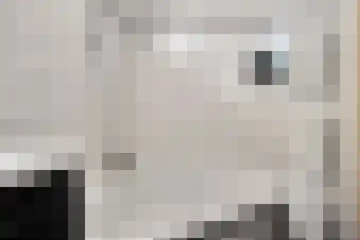 Bramenhof 16 Rockanje thumbnail 14