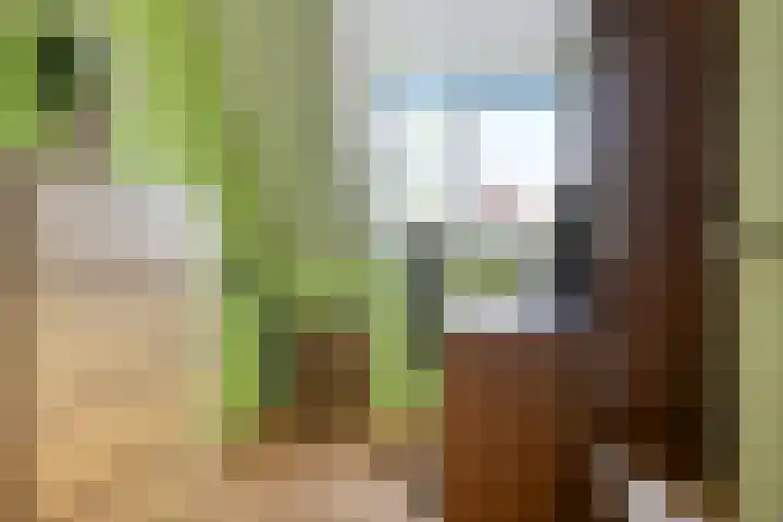 Bramenhof 16 Rockanje thumbnail 16