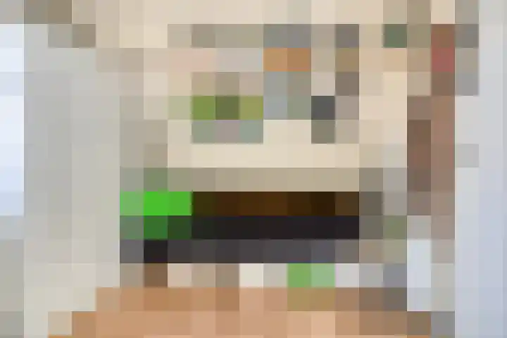 Bramenhof 16 Rockanje thumbnail 17