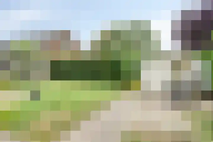 Bramenhof 16 Rockanje thumbnail 21