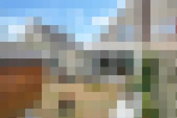 Bramenhof 20 Doetinchem thumbnail 42