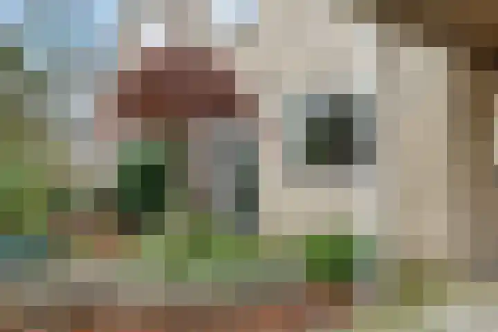 Bramenhof 20 Doetinchem thumbnail 7