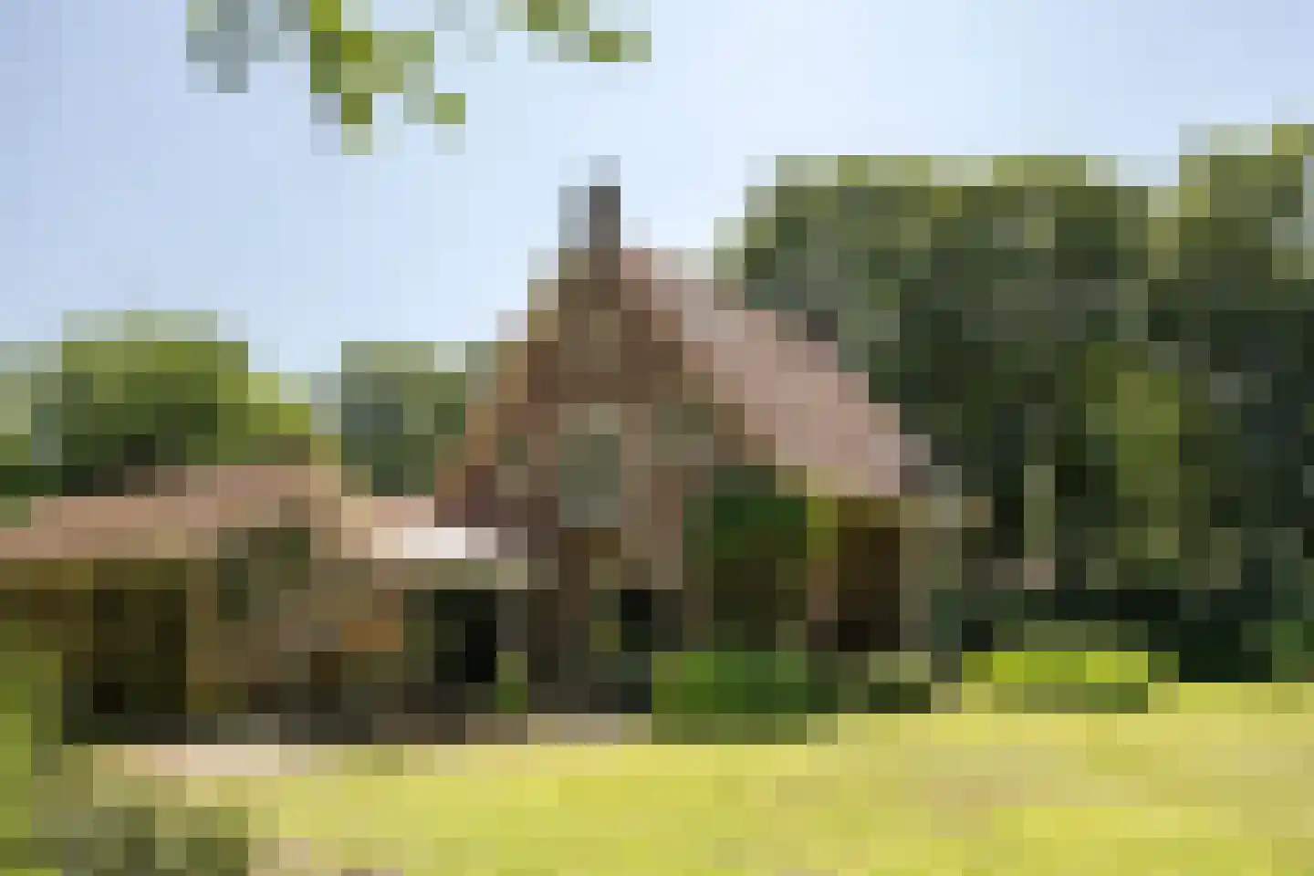 Bramenlaan 14 in Bentveld