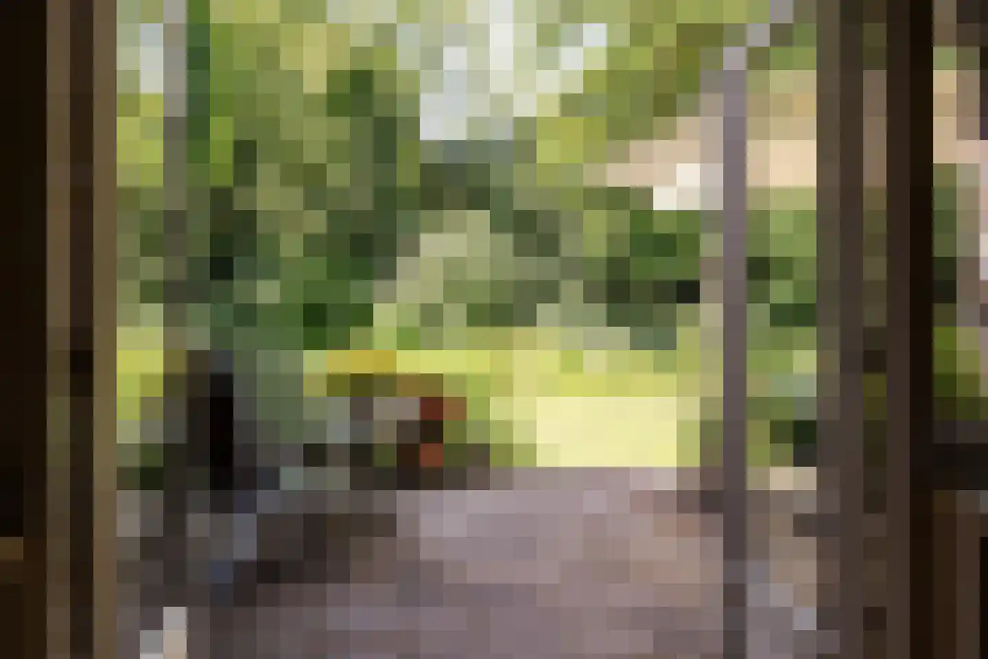 Bramenlaan 14 Bentveld thumbnail 19