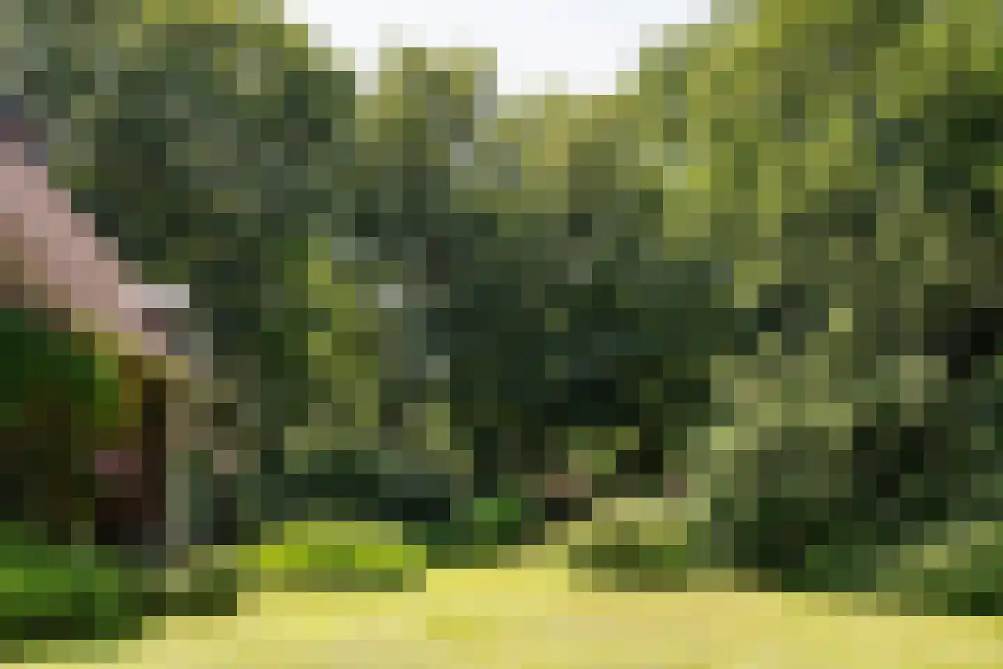 Bramenlaan 14 Bentveld thumbnail 20
