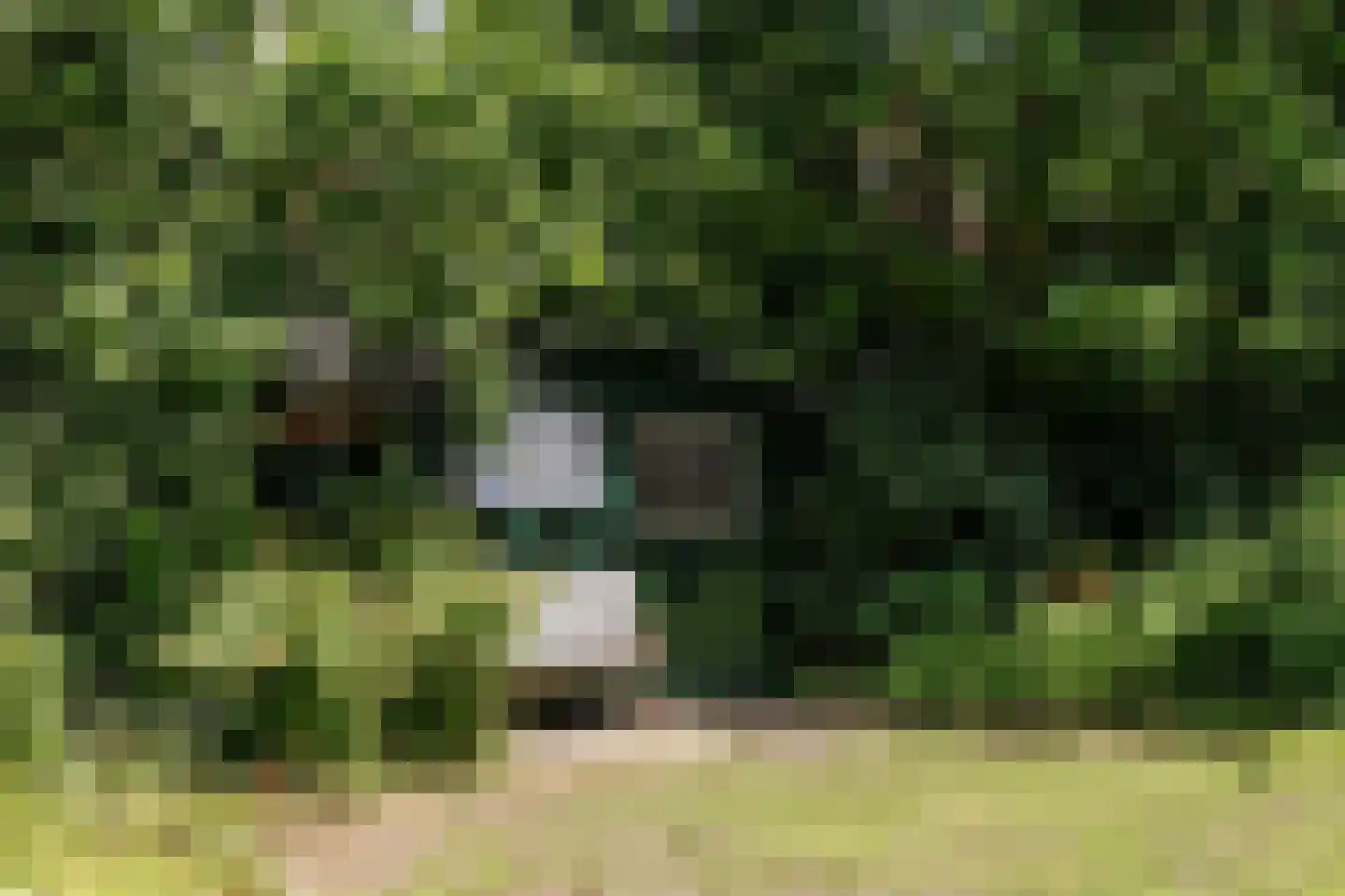Bramenlaan 14 Bentveld thumbnail 21
