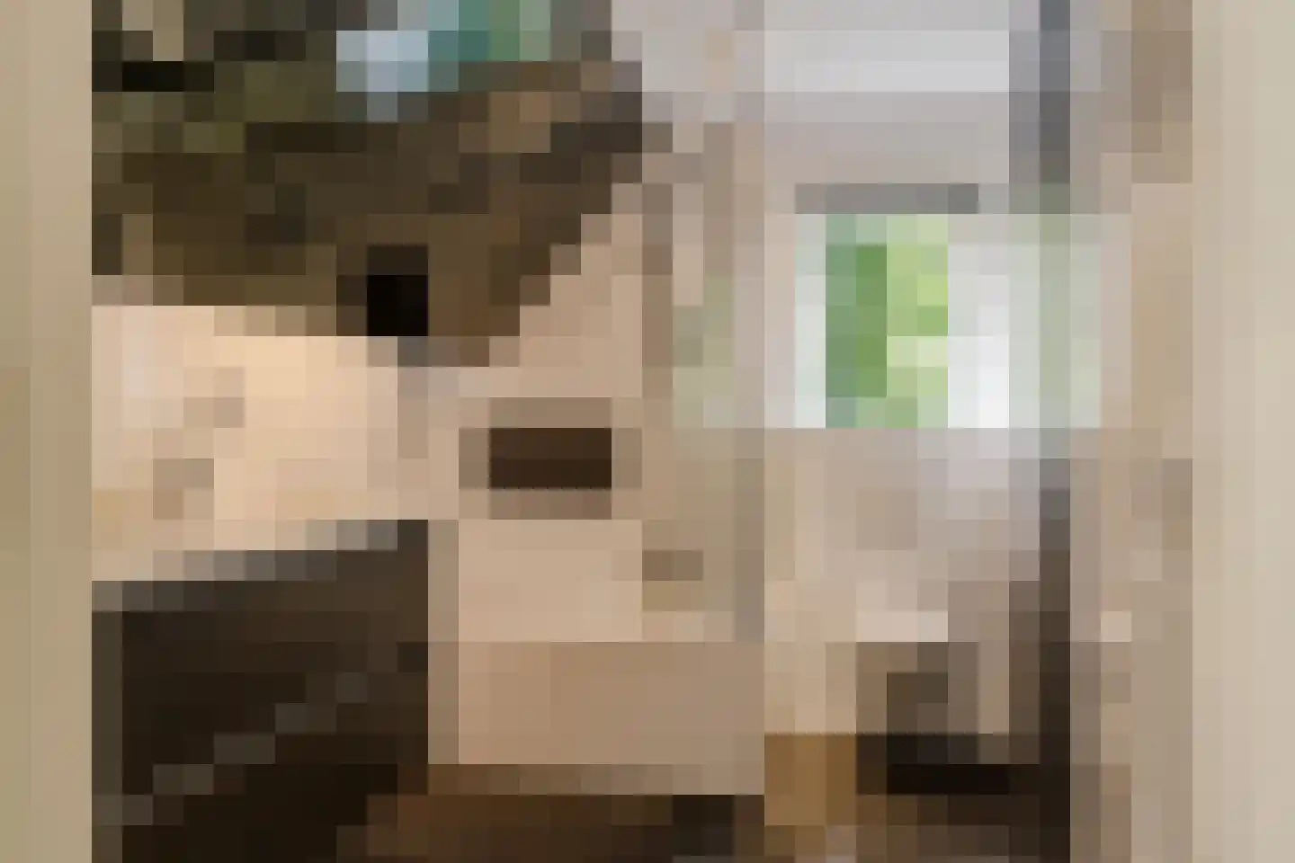 Bramenlaan 14 Bentveld thumbnail 28