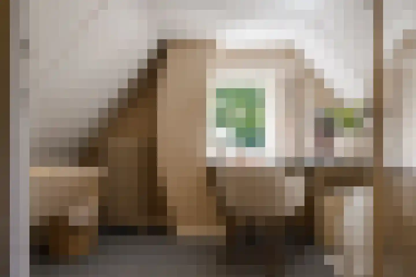 Bramenlaan 14 Bentveld thumbnail 34