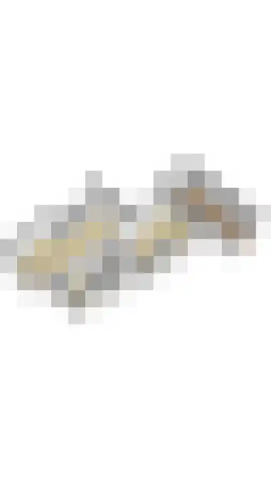 Bramenlaan 14 Bentveld thumbnail 39