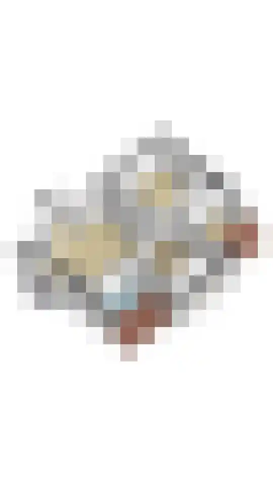 Bramenlaan 14 Bentveld thumbnail 41