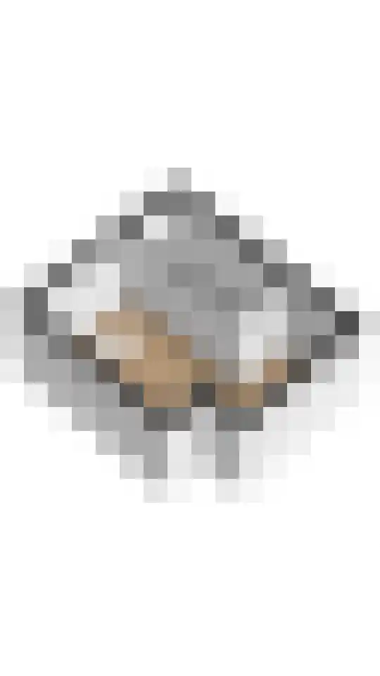 Bramenlaan 14 Bentveld thumbnail 45