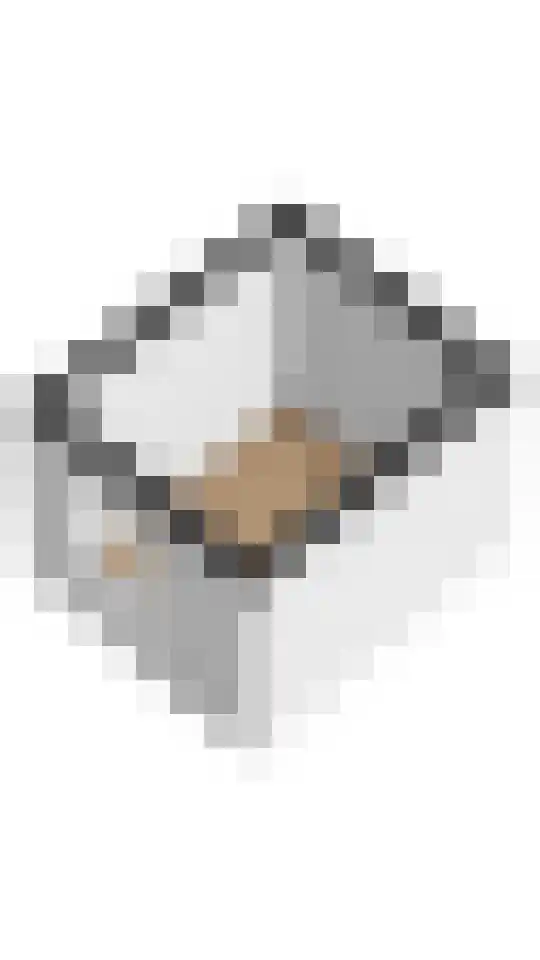 Bramenlaan 14 Bentveld thumbnail 47