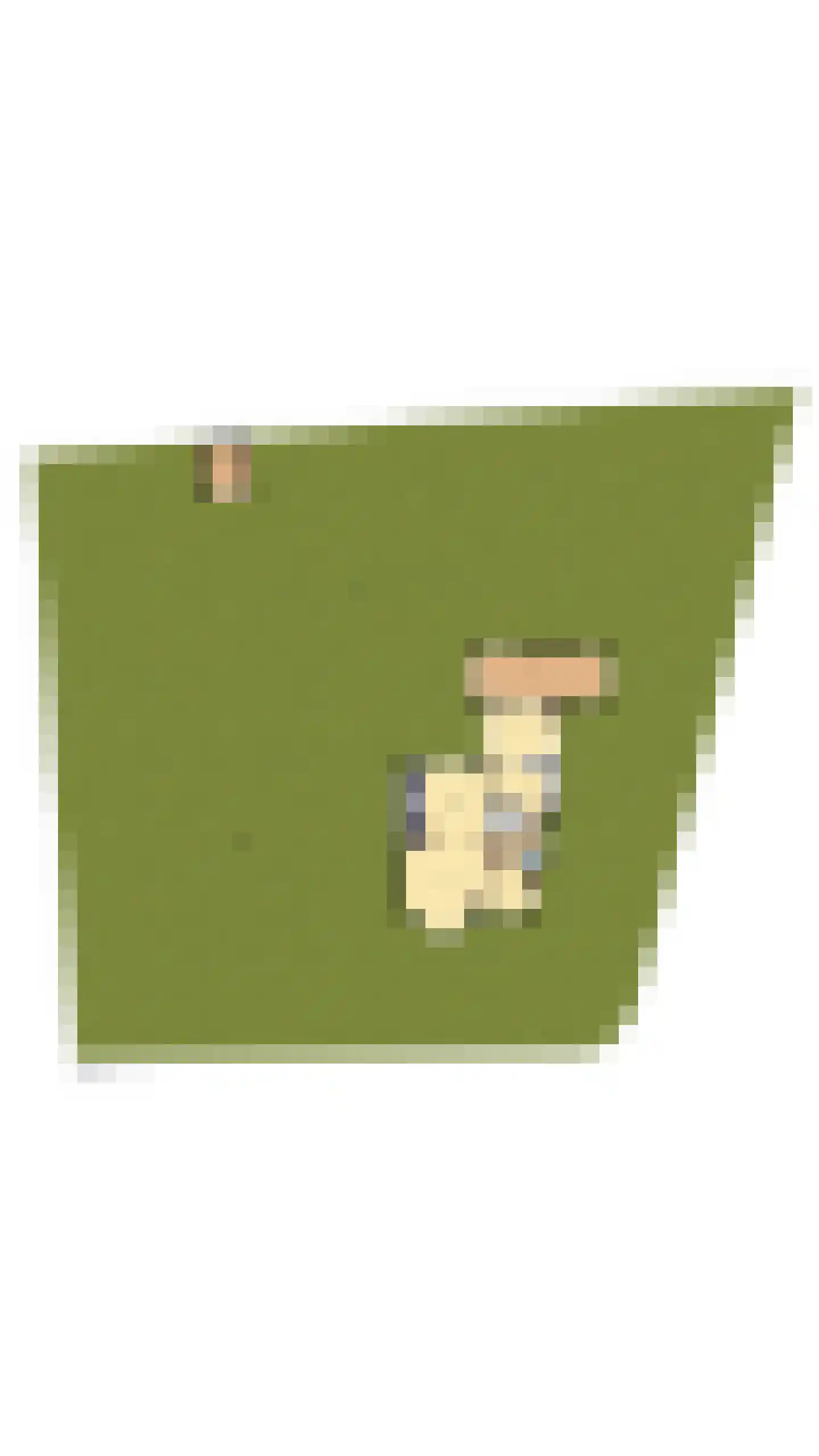 Bramenlaan 14 Bentveld thumbnail 48