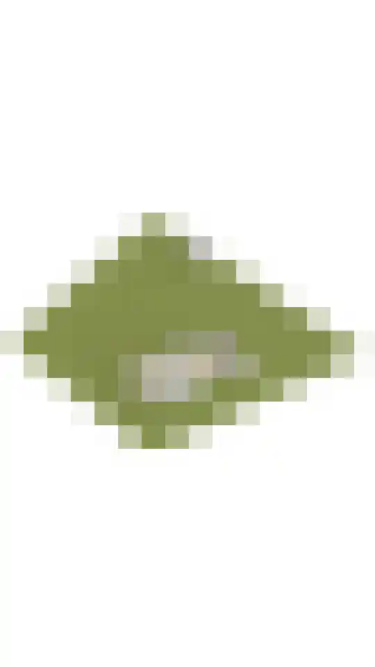 Bramenlaan 14 Bentveld thumbnail 49