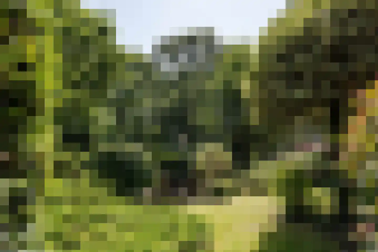 Bramenlaan 14 Bentveld thumbnail 6