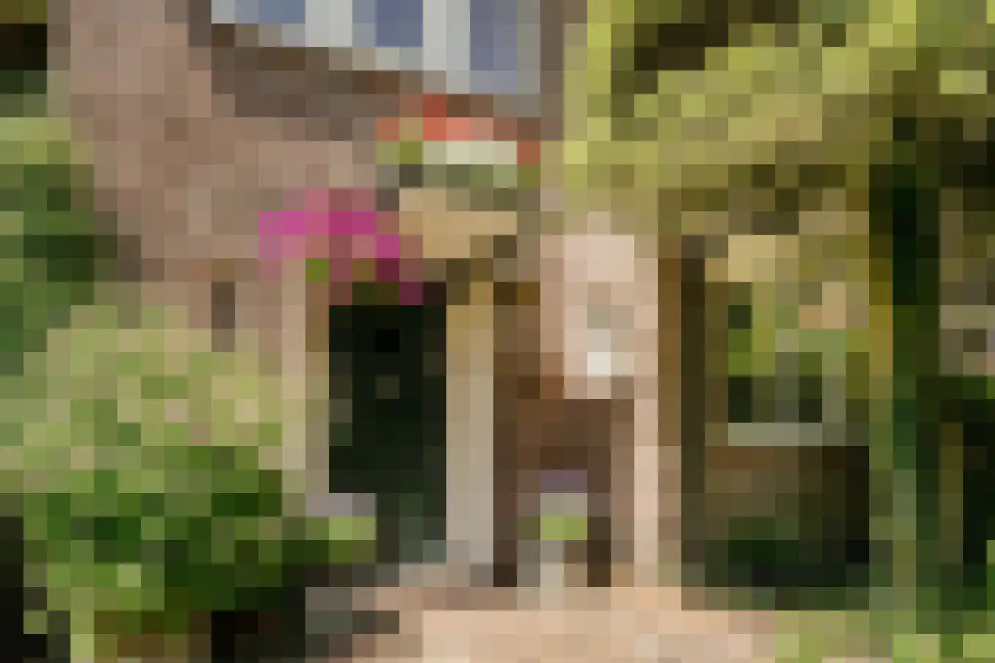 Bramenlaan 14 Bentveld thumbnail 7