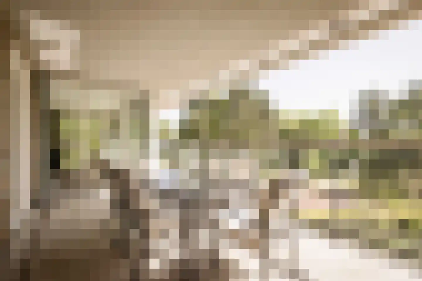Bramenlaan 314 Bentveld thumbnail 24