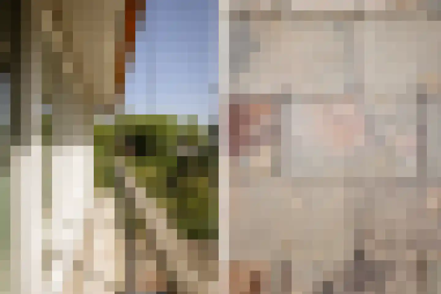 Bramenlaan 314 Bentveld thumbnail 25