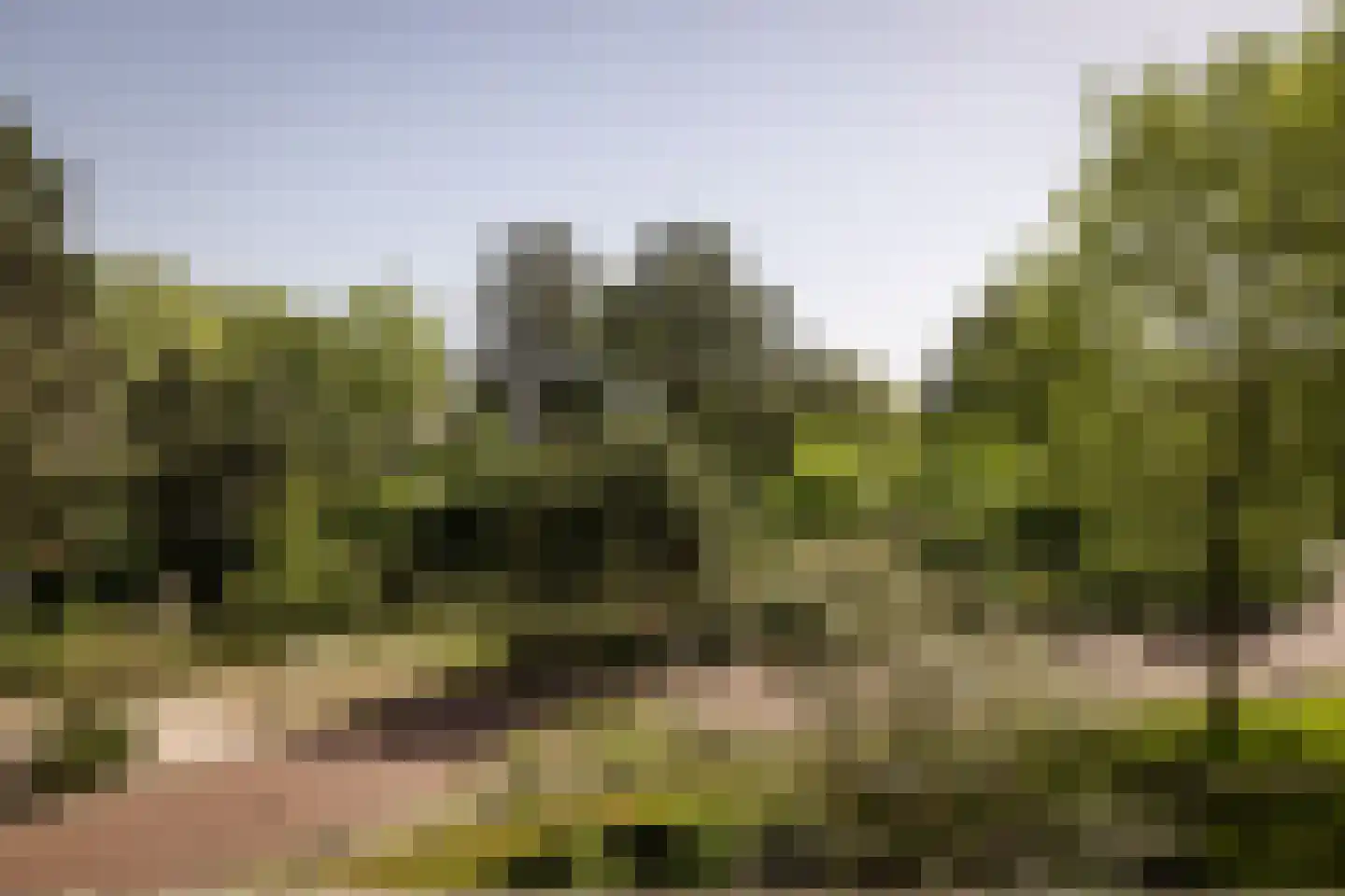 Bramenlaan 314 Bentveld thumbnail 27