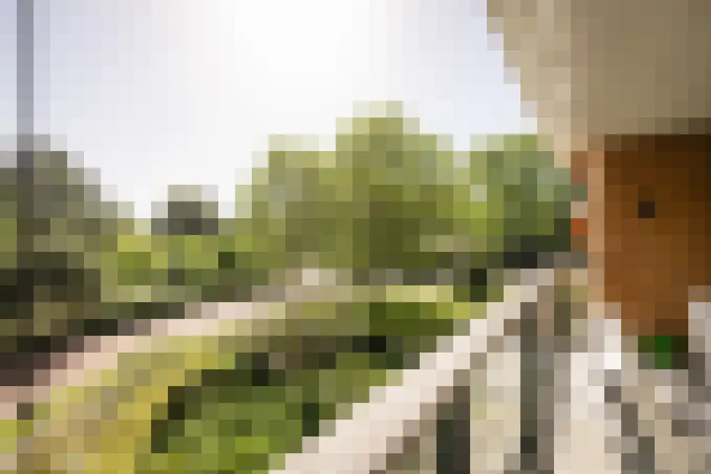 Bramenlaan 314 Bentveld thumbnail 28