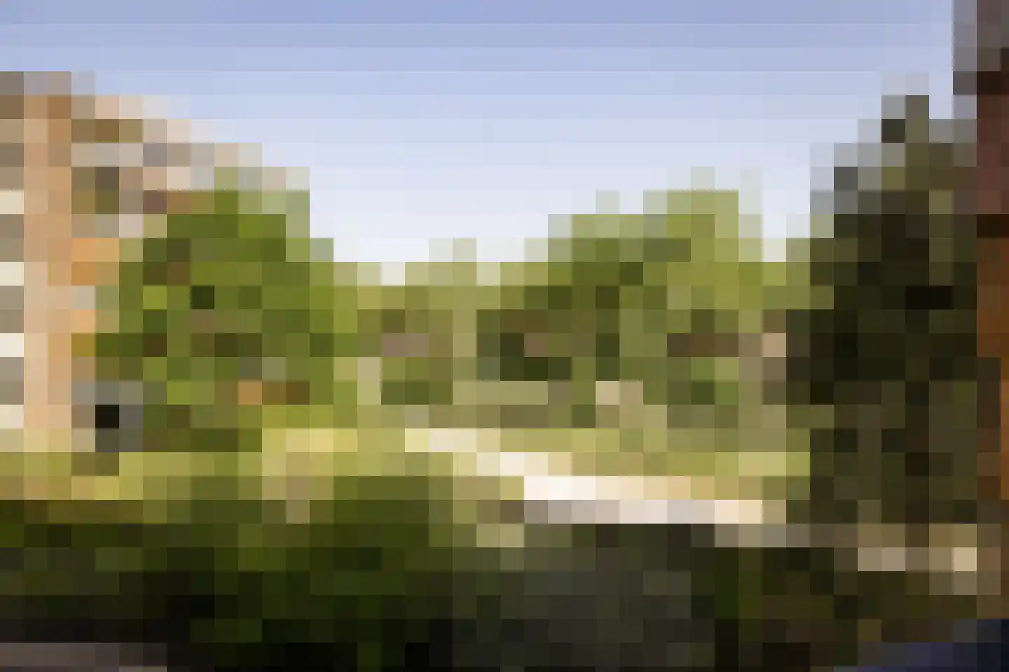 Bramenlaan 314 Bentveld thumbnail 40