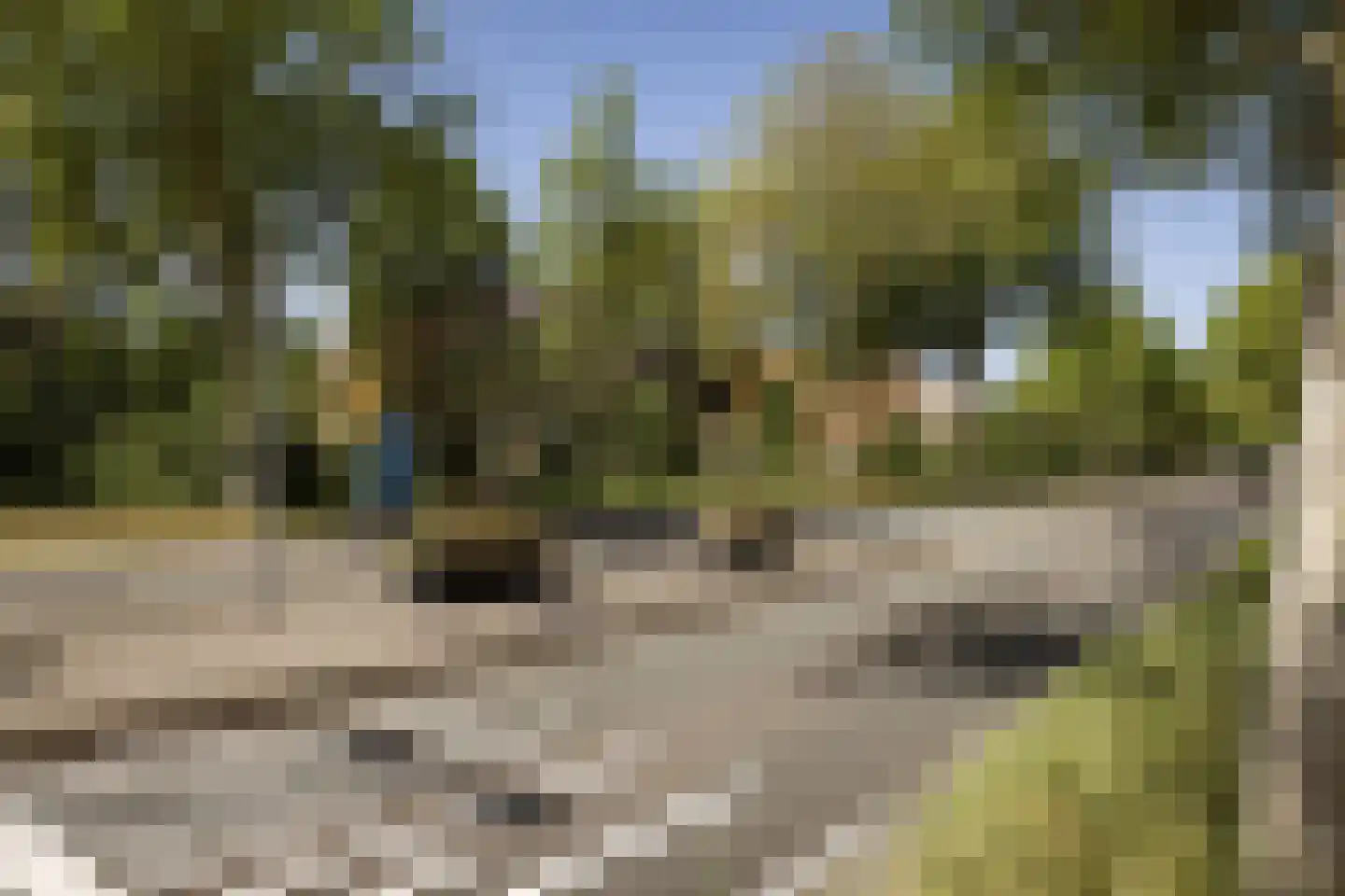 Bramenlaan 314 Bentveld thumbnail 53