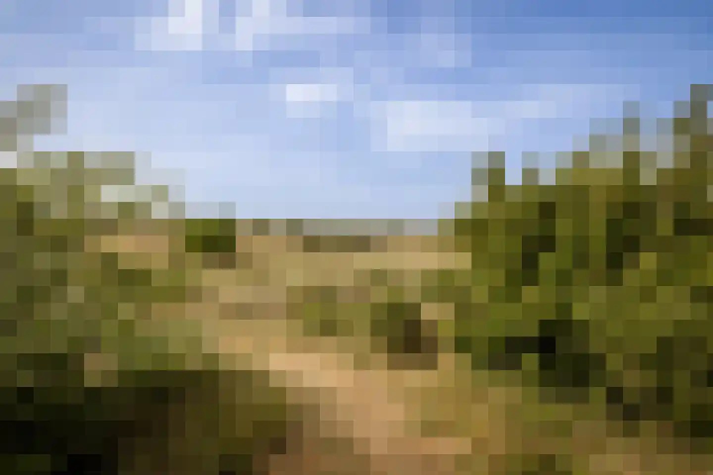 Bramenlaan 314 Bentveld thumbnail 54