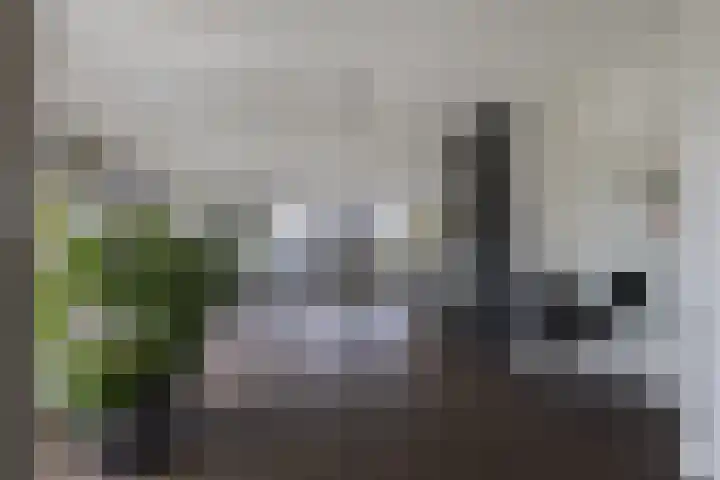 Bramenlaan 364 Bentveld thumbnail 15