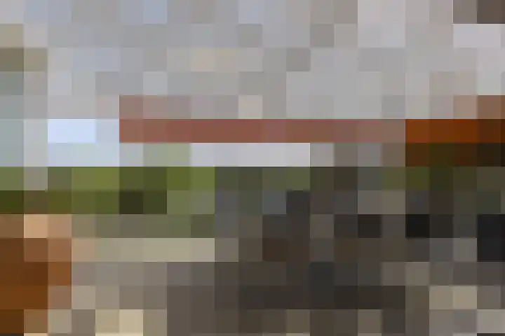 Bramenlaan 364 Bentveld thumbnail 18