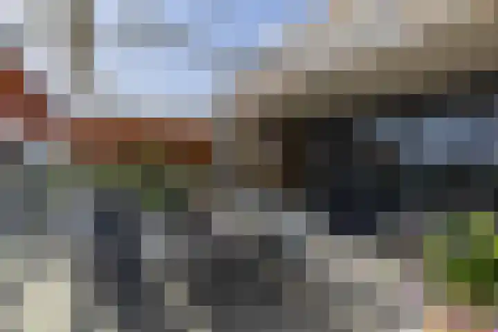 Bramenlaan 364 Bentveld thumbnail 19