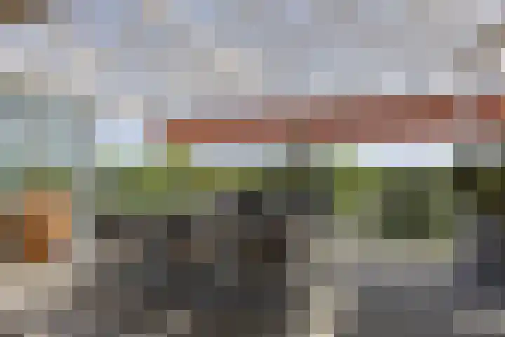 Bramenlaan 364 Bentveld thumbnail 21