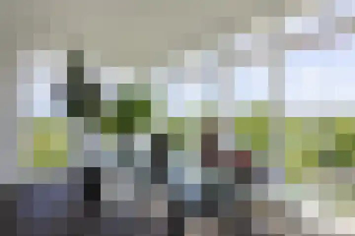 Bramenlaan 364 Bentveld thumbnail 26