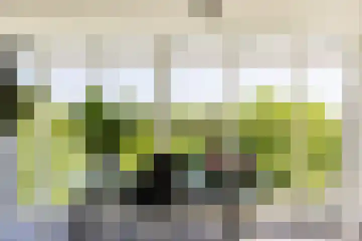 Bramenlaan 364 Bentveld thumbnail 27