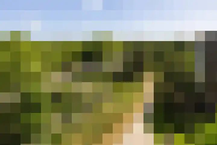 Bramenlaan 364 Bentveld thumbnail 28