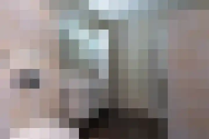 Bramenlaan 364 Bentveld thumbnail 29