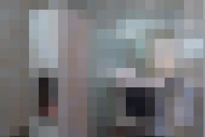 Bramenlaan 364 Bentveld thumbnail 30