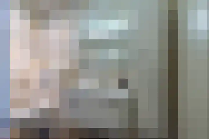 Bramenlaan 364 Bentveld thumbnail 31