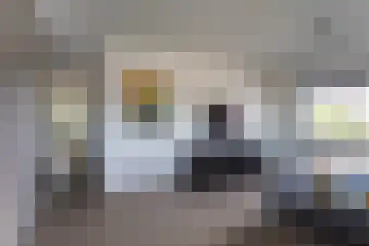Bramenlaan 364 Bentveld thumbnail 35