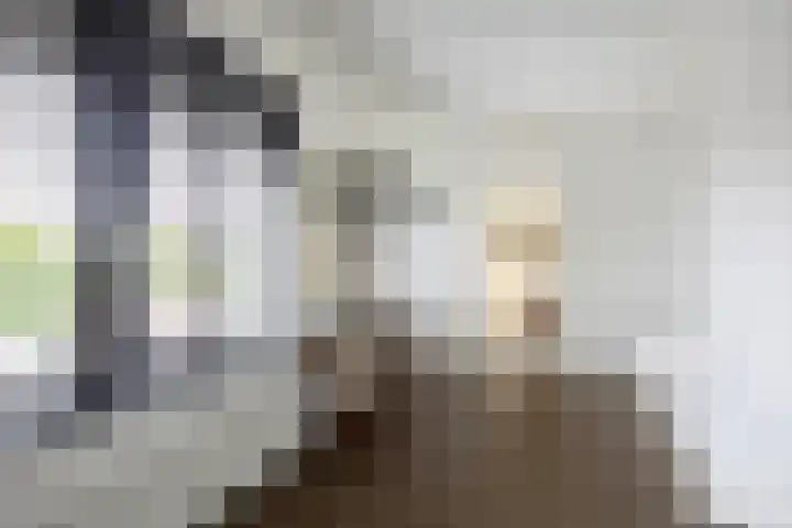 Bramenlaan 364 Bentveld thumbnail 37