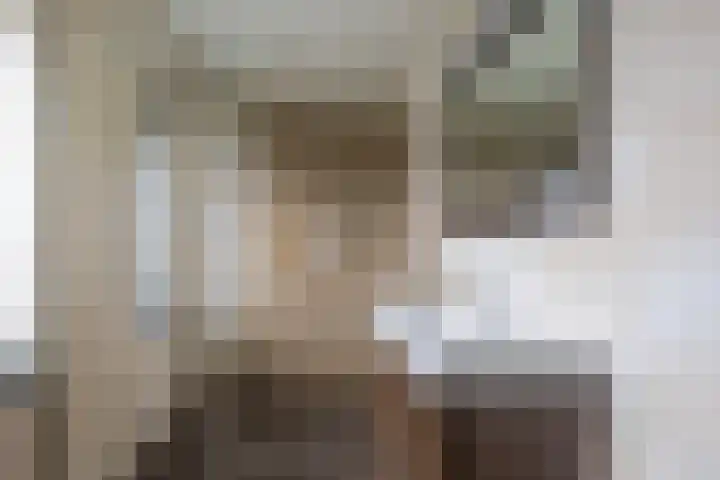 Bramenlaan 364 Bentveld thumbnail 38
