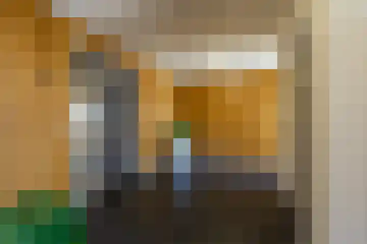 Bramenlaan 364 Bentveld thumbnail 40
