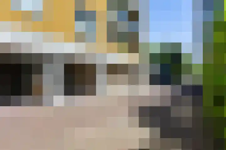 Bramenlaan 364 Bentveld thumbnail 41