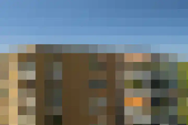Bramenlaan 364 Bentveld thumbnail 43