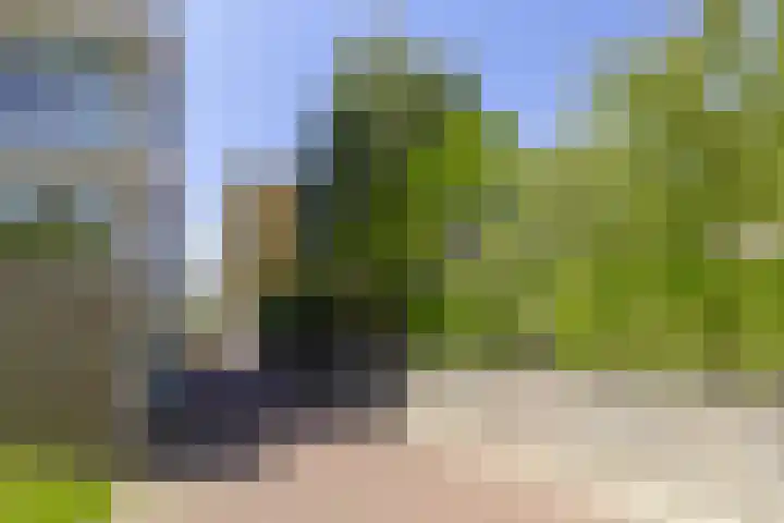 Bramenlaan 364 Bentveld thumbnail 45