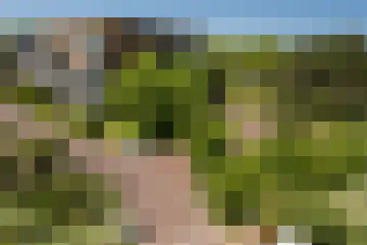 Bramenlaan 364 Bentveld thumbnail 47
