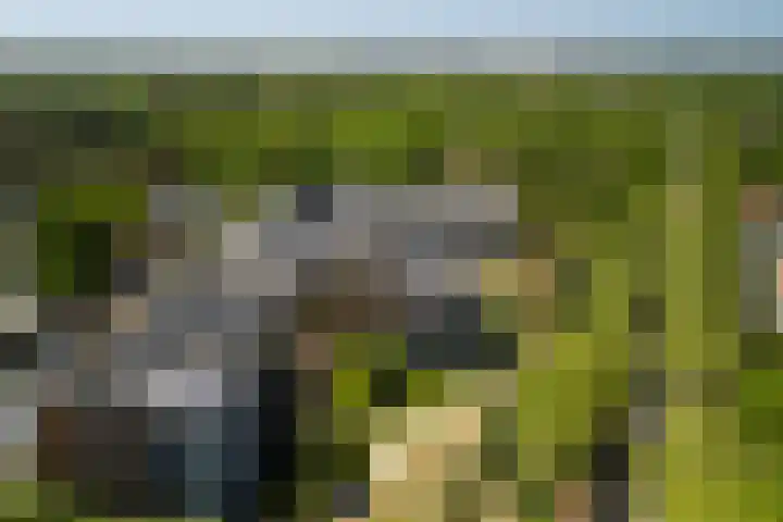 Bramenlaan 364 Bentveld thumbnail 48