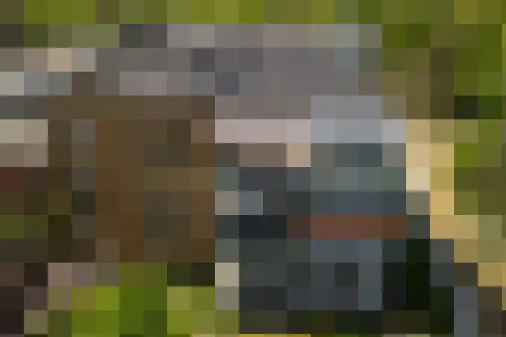 Bramenlaan 364 Bentveld thumbnail 49
