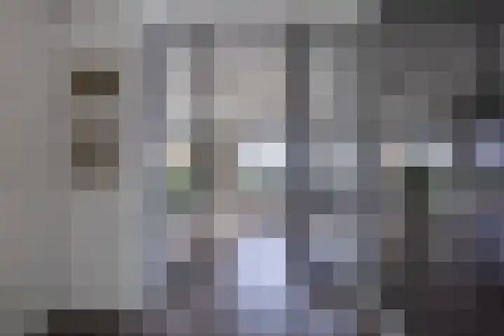 Bramenlaan 364 Bentveld thumbnail 5